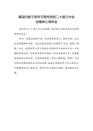 基层妇联干部学习贯彻党的二十届三中全会精神心得体会 .docx