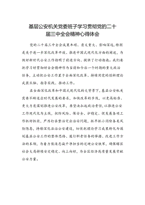 基层公安机关党委班子学习贯彻党的二十届三中全会精神心得体会范本.docx