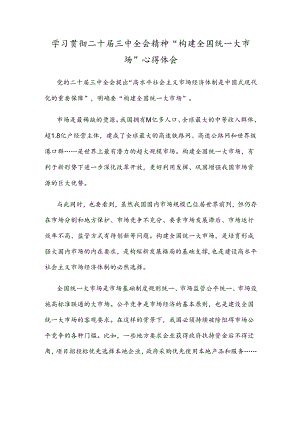 学习贯彻二十届三中全会精神“构建全国统一大市场”心得体会.docx