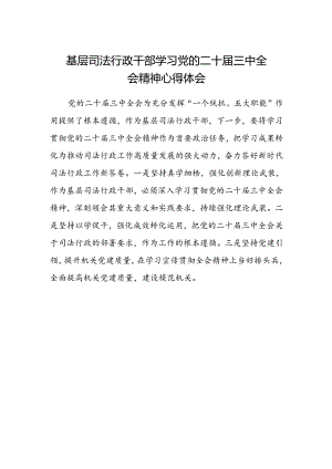 基层司法行政干部学习党的二十届三中全会精神心得体会范文.docx