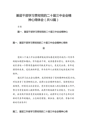 基层干部学习贯彻党的二十届三中全会精神心得体会12篇供参考.docx