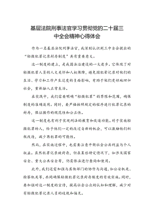 基层法院刑事法官学习贯彻党的二十届三中全会精神心得体会.docx