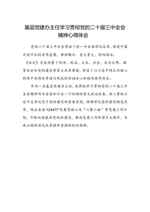 基层党建办主任学习贯彻党的二十届三中全会精神心得体会.docx