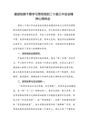 基层检察干警学习贯彻党的二十届三中全会精神心得体会范本.docx