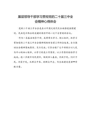 基层领导干部学习贯彻党的二十届三中全会精神心得体会.docx