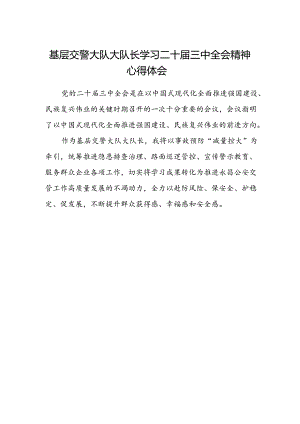 基层交警大队大队长学习二十届三中全会精神心得体会.docx