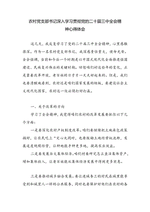 农村党支部书记深入学习贯彻党的二十届三中全会精神心得体会研讨发言.docx