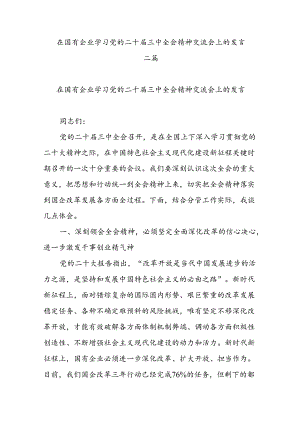 在国有企业学习党的二十届三中全会精神交流会上的发言二篇.docx