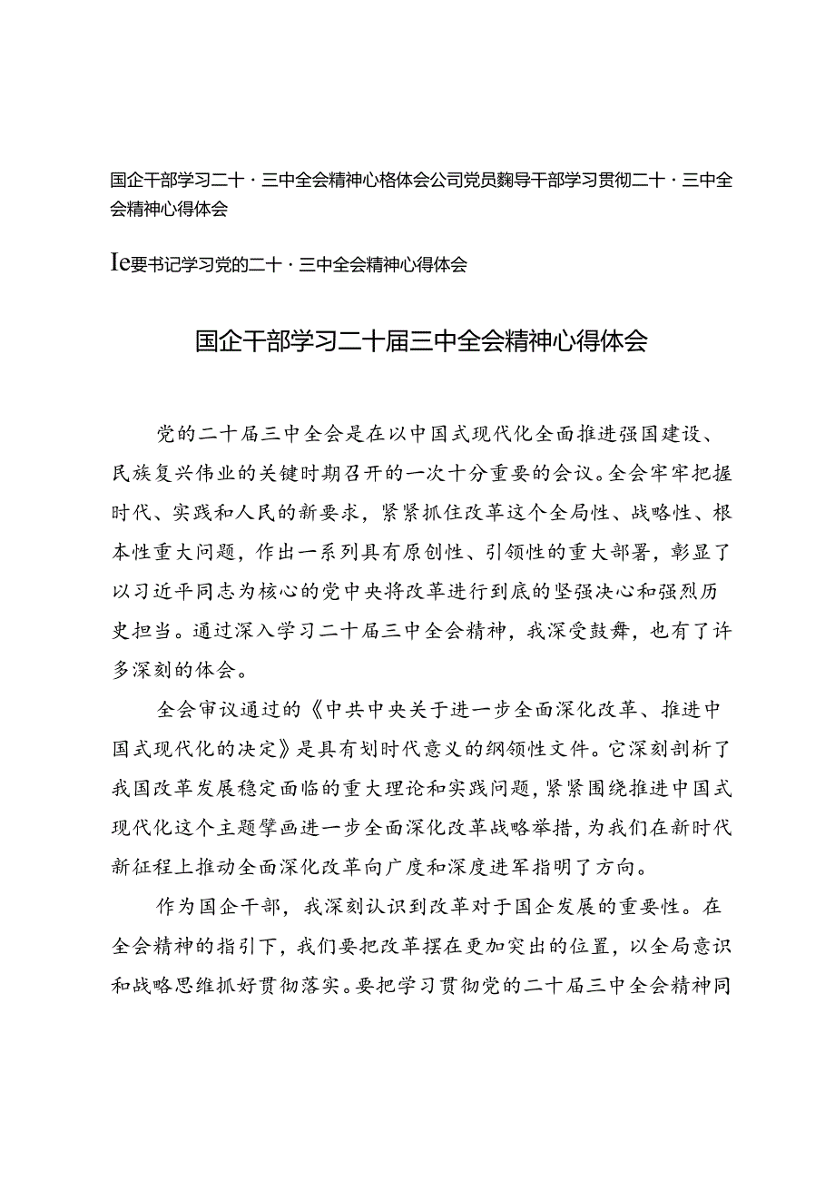 国企干部、公司党员、纪委书记学习二十届三中全会精神心得体会.docx_第1页