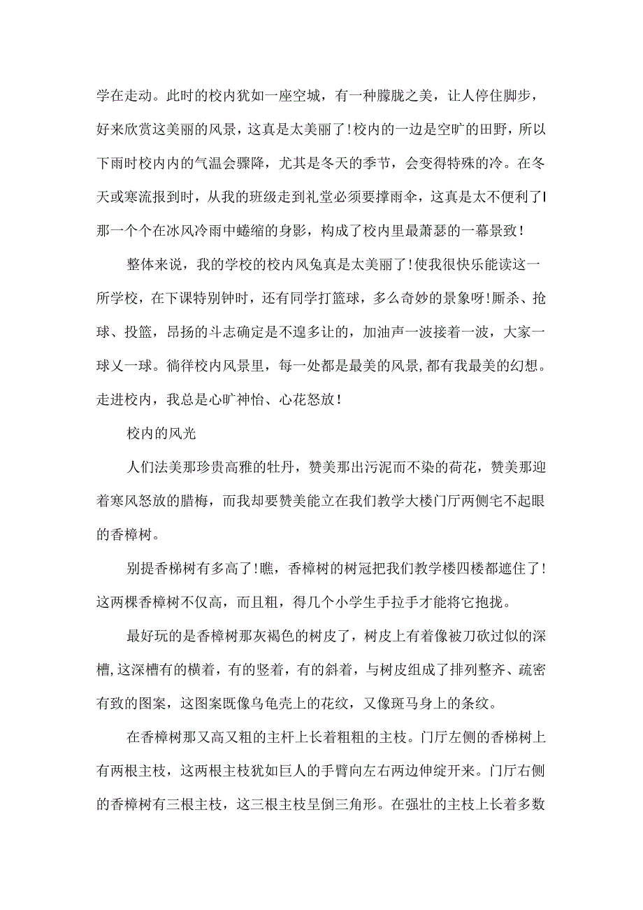 关于校园的景色作文800字.docx_第2页