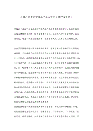 县政府办干部学习二十届三中全会精神心得体会.docx