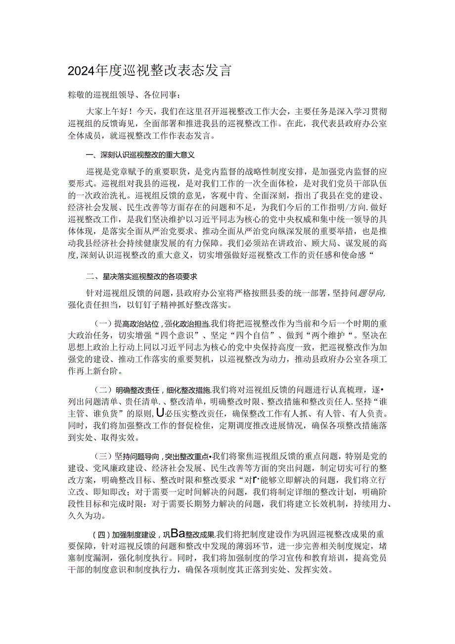 2024年度巡视整改表态发言 .docx_第1页