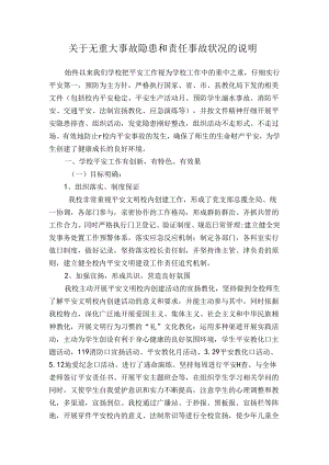 关于无重大事故隐患和责任事故情况的说明.docx