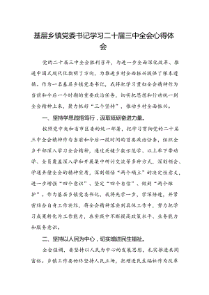 基层乡镇党委书记学习二十届三中全会心得体会.docx