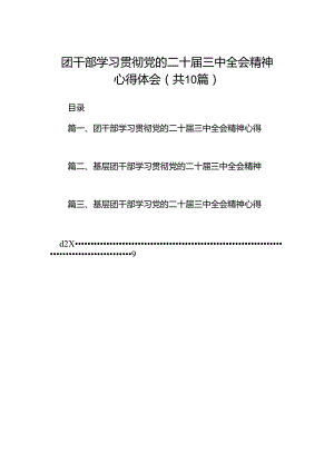 团干部学习贯彻党的二十届三中全会精神心得体会（共10篇选择）.docx