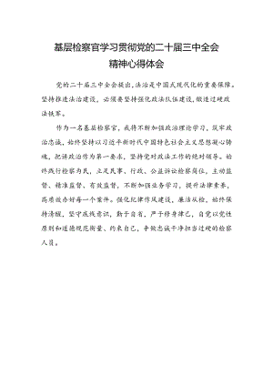 基层检察官学习贯彻党的二十届三中全会精神心得体会范文.docx