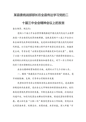 某县委统战部部长在全县传达学习党的二十届三中全会精神会议上的发言.docx