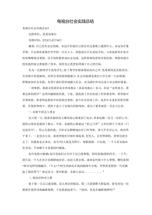 电视台社会实践总结.docx