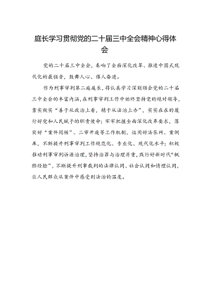 庭长学习贯彻党的二十届三中全会精神心得体会 .docx