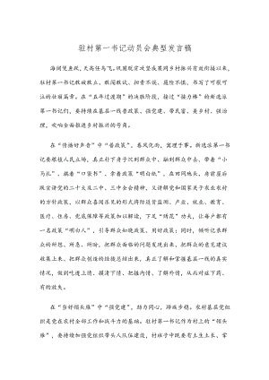 驻村第一书记动员会典型发言稿.docx