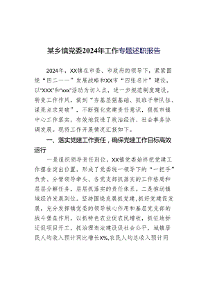 某乡镇党委2024年工作专题述职报告.docx