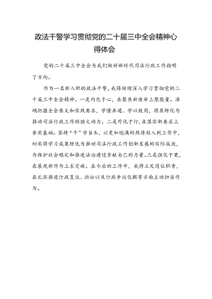 政法干警学习贯彻党的二十届三中全会精神心得体会范文.docx