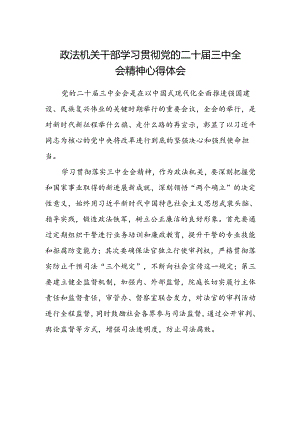 政法机关干部学习贯彻党的二十届三中全会精神心得体会.docx