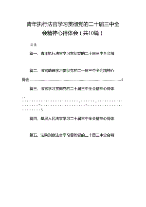 青年执行法官学习贯彻党的二十届三中全会精神心得体会（共10篇）.docx