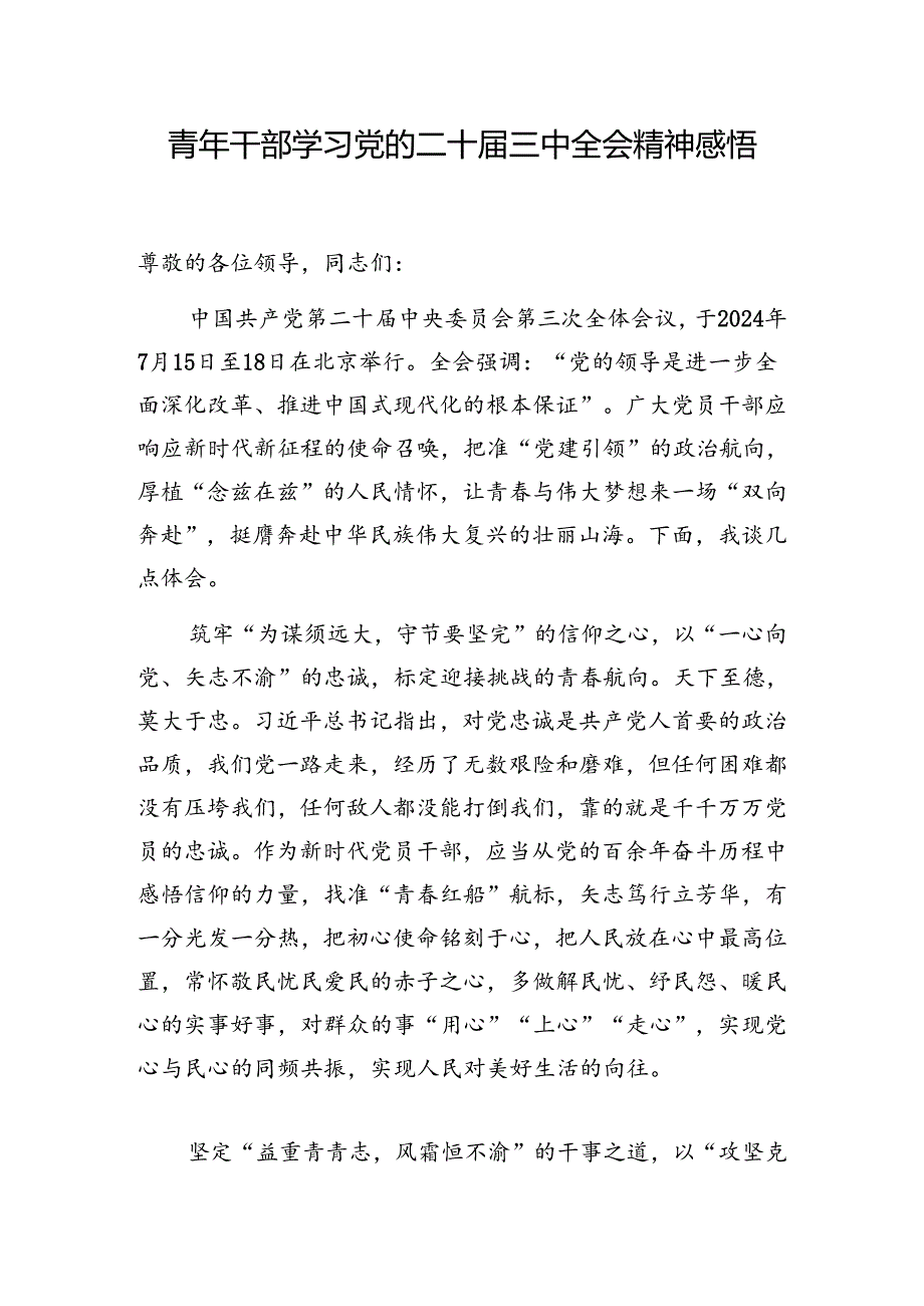 青年干部学习党的二十届三中全会研讨发言心得体会4份有考试题库1份有答案.docx_第2页