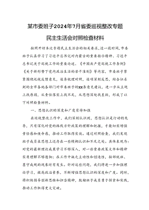 某市委班子2024年7月省委巡视整改专题民主生活会对照检查材料.docx