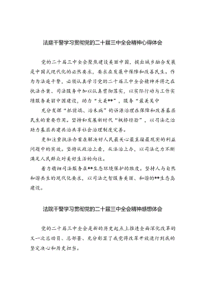 法庭干警学习贯彻党的二十届三中全会精神心得体会8篇专题资料.docx