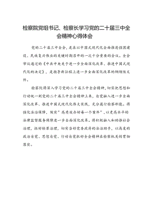 检察院党组书记、检察长学习党的二十届三中全会精神心得体会.docx