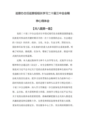 （8篇）巡察办主任巡察组组长学习二十届三中全会精神心得体会.docx