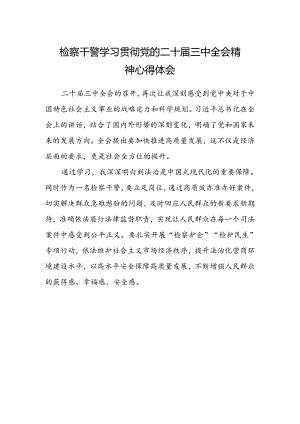 检察干警学习贯彻党的二十届三中全会精神心得体会范文 .docx