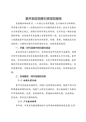 某开发区招商引资项目报告.docx