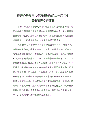 银行分行负责人学习贯彻党的二十届三中全会精神心得体会范文.docx