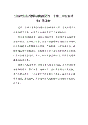 法院司法法警学习贯彻党的二十届三中全会精神心得体会.docx