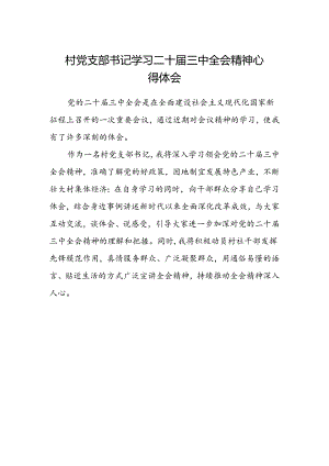 村党支部书记学习二十届三中全会精神心得体会.docx