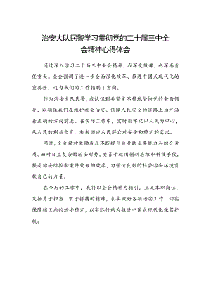 治安大队民警学习贯彻党的二十届三中全会精神心得体会.docx