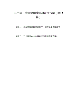 （12篇）二十届三中全会精神学习宣传方案范文.docx