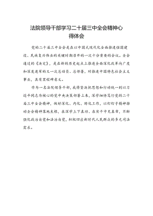 法院领导干部学习二十届三中全会精神心得体会.docx