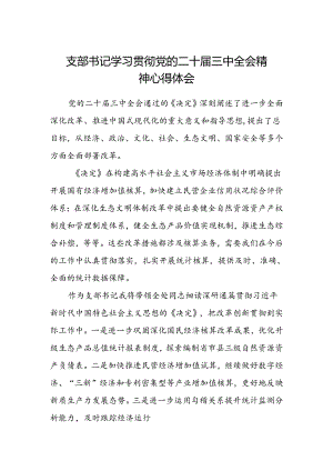 支部书记学习贯彻党的二十届三中全会精神心得体会范文.docx