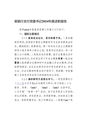 某银行支行党委书记2024年度述职报告.docx