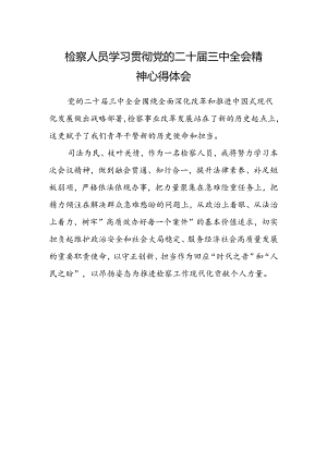 检察人员学习贯彻党的二十届三中全会精神心得体会 (4).docx