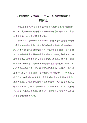 村党组织书记学习二十届三中全会精神心得体会.docx