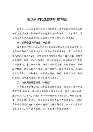 锻造新时代政法铁军工作总结.docx