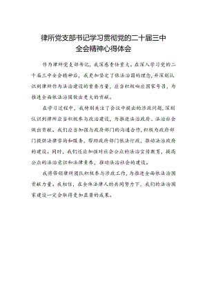 律所党支部书记学习贯彻党的二十届三中全会精神心得体会范文.docx