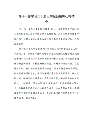 青年干警学习二十届三中全会精神心得体会.docx