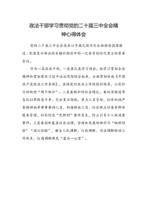 政法干部学习贯彻党的二十届三中全会精神心得体会范文.docx