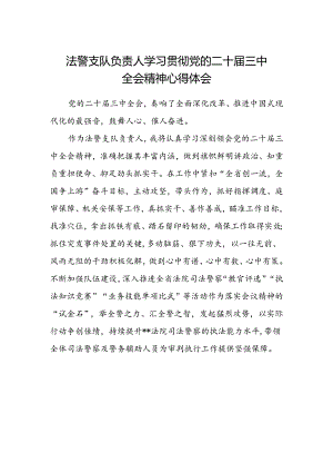 法警支队负责人学习贯彻党的二十届三中全会精神心得体会.docx